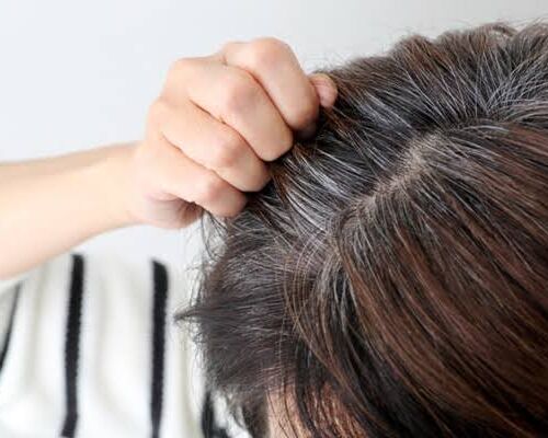 9FB5D2C0-8148-4B80-B111-059401E11804