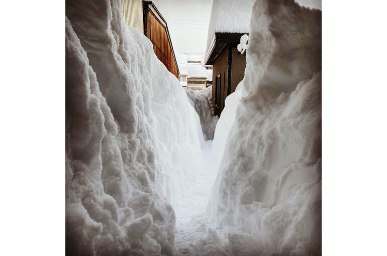 B7112CFF-46FB-42CA-9490-6B5429A06583