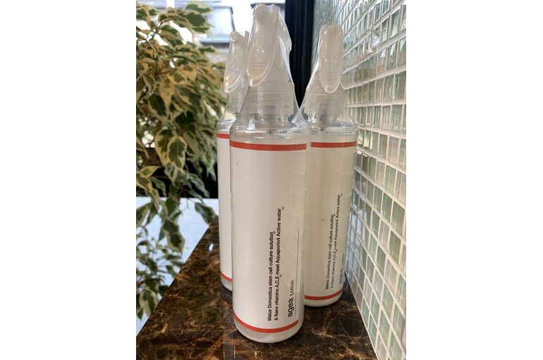 2338C531-D07F-432E-BC74-AD4B2341E1EF