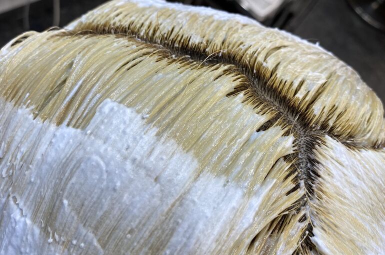 A3668BB0-166F-4066-9B38-E94128298D7E