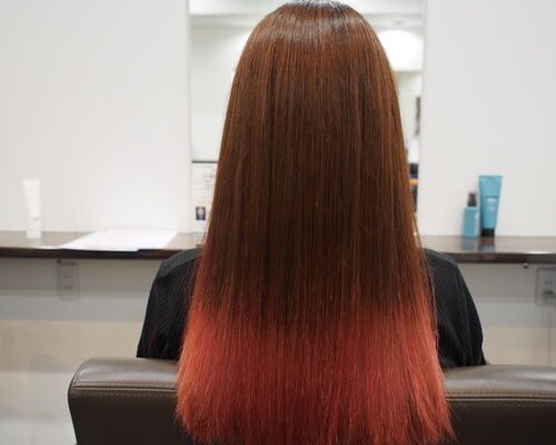 434291F9-AC71-429D-9274-4BD5839C95C1