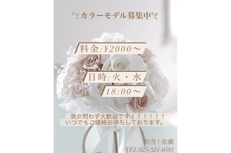 カラーモデル募集 上越市で美容室を運営しお店の最新ニュースや日々の出来事について発信